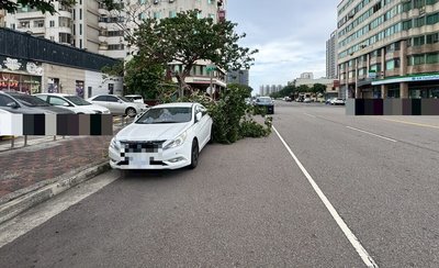 颱風巴威來襲 台中路樹砸車、3民眾觀浪遭警勸離