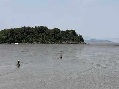 世界遺產擴大登錄「韓國泥灘」範圍  肯定生態保育