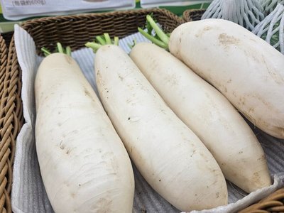 問題進口白蘿蔔未流入市售　溯源調查依法最高罰2億