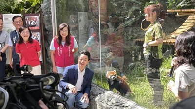 雙城論壇小貓熊亮相　取名樂樂、甜甜