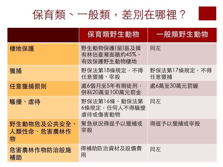 台灣獼猴及山羌等8種野生動物,調降為一般類野生動物。(圖取自林務局網頁www.forest.gov.tw)