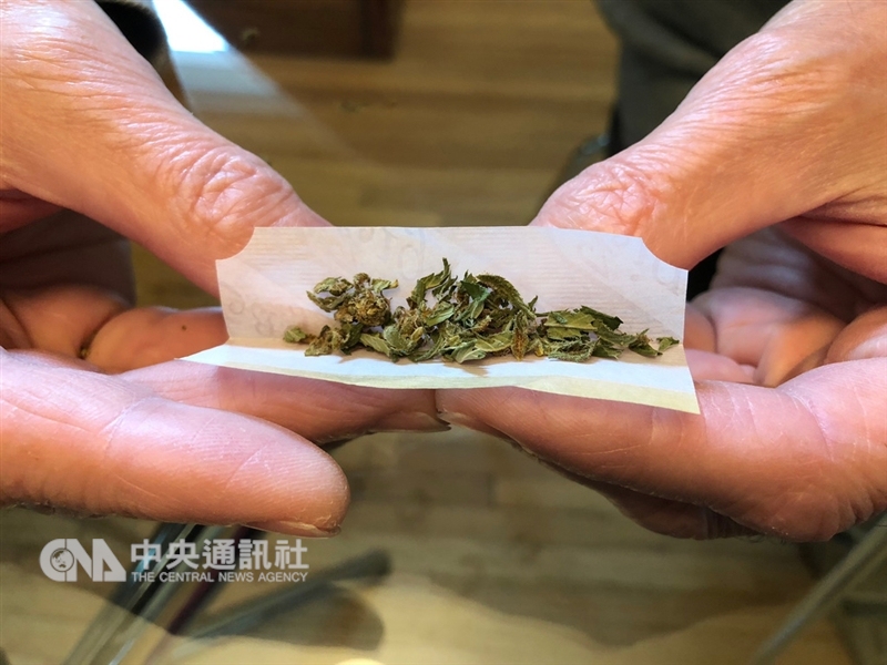加拿大自17日大麻全面合法化,所有加拿大人,不論是否心甘情願,都已置身在一場涉及社會、經濟、生活、法律、醫學各層面大麻合法化實驗之中。中央社記者胡玉立多倫多攝 107年10月21日