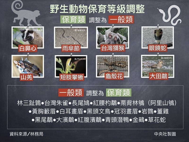 野生動物保育等級調整中,17種野生動物,由一般類變為保育類野生動物;8種野生動物,由保育類降為一般類野生動物。(中央社製圖)