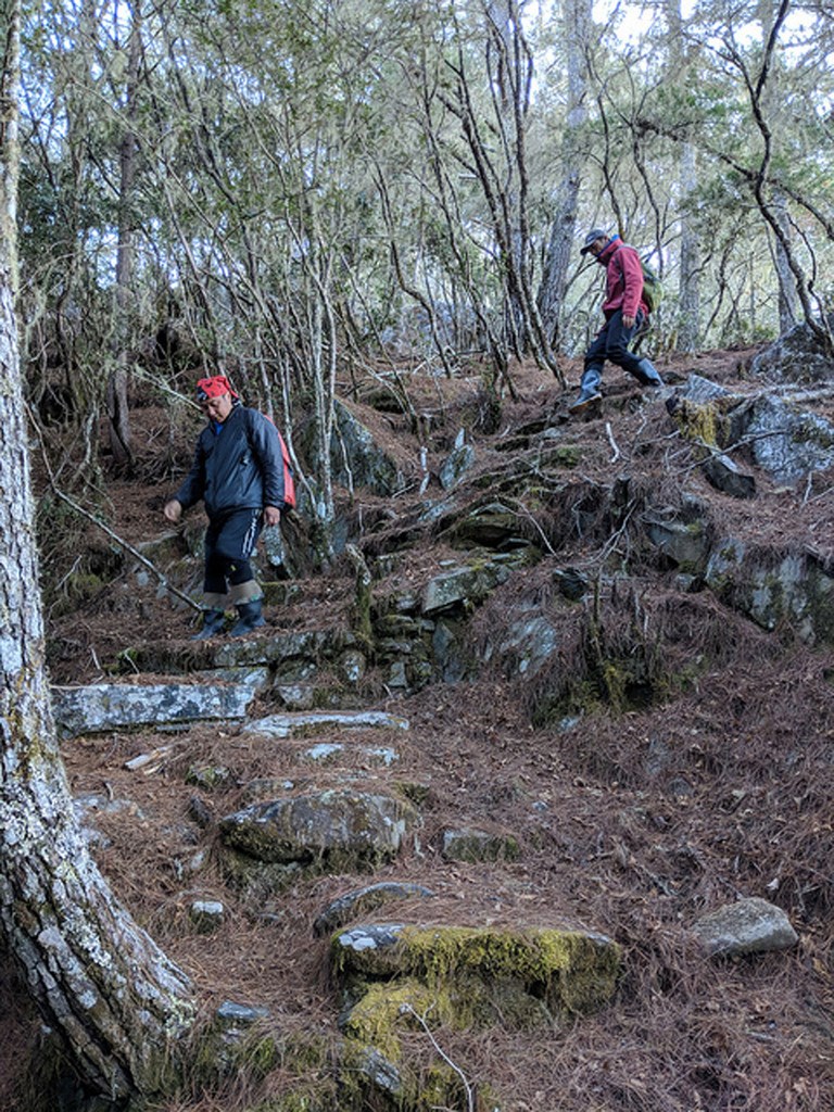 行政院農業委員會林業試驗所研究員深入中央山脈,在清八通關古道東段發現一處原始「巨木森林」,探勘過程中,不時巧遇百年多前的清古道遺跡。(徐嘉君提供)中央社記者李先鳳傳真 108年2月20日