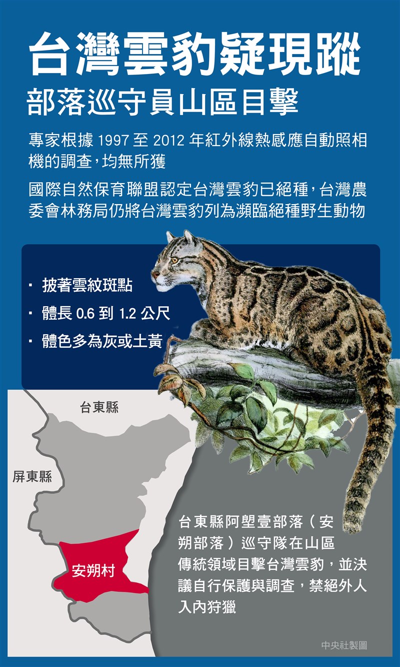 阿塱壹部落巡守隊人員傳出目睹珍稀的台灣雲豹撲向山崖獵捕山羊,部落位於台東縣達仁鄉。(中央社製圖)
