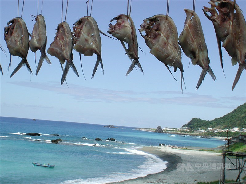 蘭嶼已經進入了一年中最忙、禁忌最多的飛魚季，當地居民提醒遊客，勿隨意觸摸拼板舟拍照，不要闖入曬飛魚庭院，造成漁夫運氣不佳。 （資料照片）中央社記者盧太城台東攝　108年3月5日