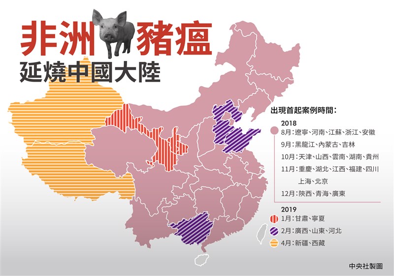 中國目前31個省市自治區僅剩下海南島,尚未傳出豬瘟疫情。(中央社製圖)