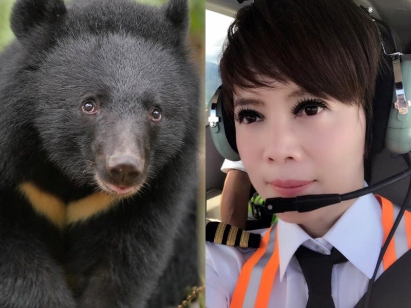 台灣黑熊「南安小熊」日前由黑鷹直升機運至山區野放,卻傳出內政部讓壹電視上專機拍攝,引發爭議。壹電視主播陳雅琳(右)2日在臉書表示,該遵守的盡力配合,不妥適的深感抱歉。(圖取自facebook.com/TBBCA、陳雅琳臉書)
