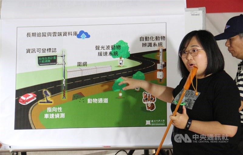 交通部公路總局與農委會特生中心、中興大學合作,研發建置石虎路殺預警系統,17日在台3線卓蘭段啟用,中興大學機械工程系助理教授蔣雅郁(圖)表示,系統結合AI辨識與聲光波緩速設備,可同步警示野生動物與車輛。中央社記者管瑞平攝 108年5月17日