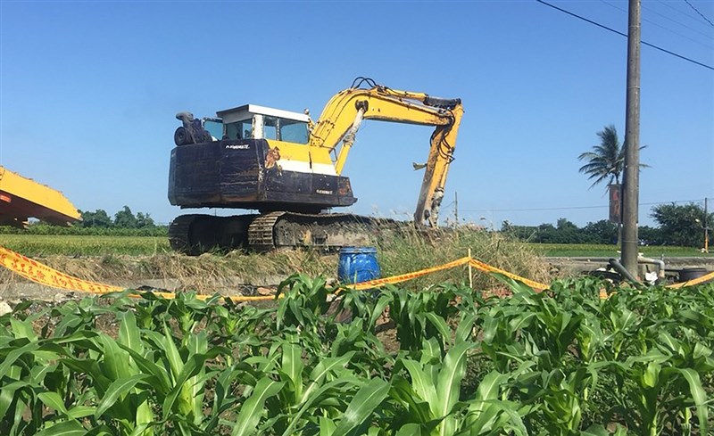 雲林縣動植物防疫所指出,縣內水林、四湖、斗南、土庫等地傳出發現蟲跡,送驗鑑定證實水林與四湖玉米田遭秋行軍蟲入侵,15日出動機具在水林進行割除玉米滅蟲大行動。(雲林縣動植物防疫所提供)中央社