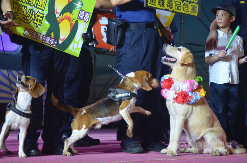 澎湖歐弟緝毒犬除役花火祝福溫馨又不捨 影 地方 中央社cna