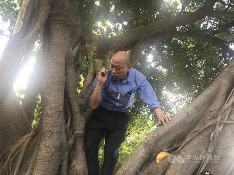 高雄市長韓國瑜（圖）24日由衛生局陪同到勞工公園視察登革熱防疫情形，因擔心樹洞積水成孳生源，以矯健的身手爬上樹探察樹洞積水。中央社記者董俊志攝　108年7月24日