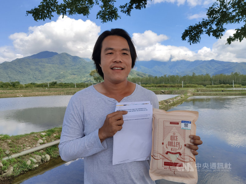 台東縣池上鄉青農魏瑞廷(圖)栽種素有「醜美人」之稱的「高雄139號」白米,他25日說,最近將獻米給梵蒂岡,希望讓台灣米揚名國際。中央社記者盧太城台東攝 108年7月25日