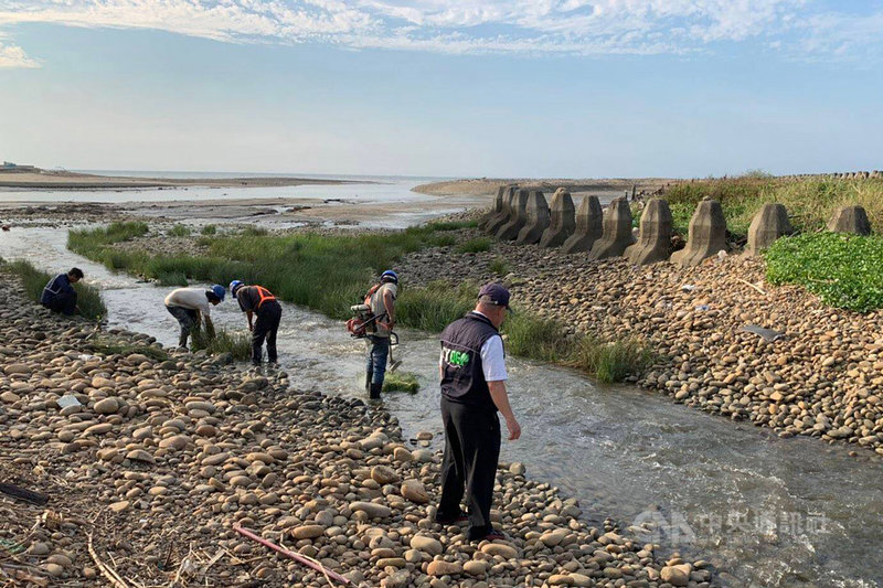 桃園南崁溪出海口13日被發現遭油污污染,經查為台電工程不慎挖破台塑地下油管所致。桃園市環保局表示,已依違反水污染防治法告發,同時限期在20日前將受污染區域清理乾淨。(桃園市政府環保局提供)中央社記者吳睿騏桃園傳真 108年8月13日