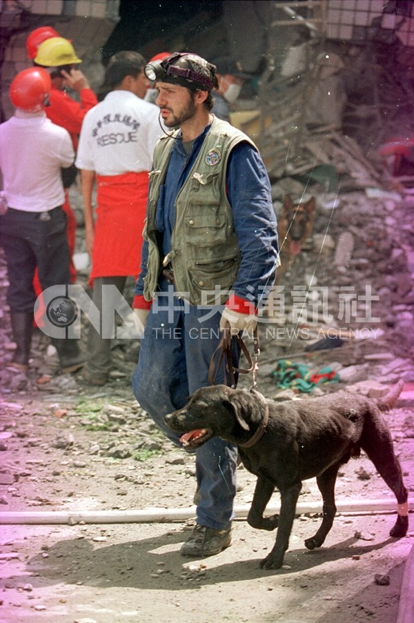 九二一地震一隻由俄羅斯救難隊所帶來救災犬在搜救現場左後腳遭到割傷,經過簡單包紮後,繼續勇敢地執行援救勤務。(中央社檔案照片)