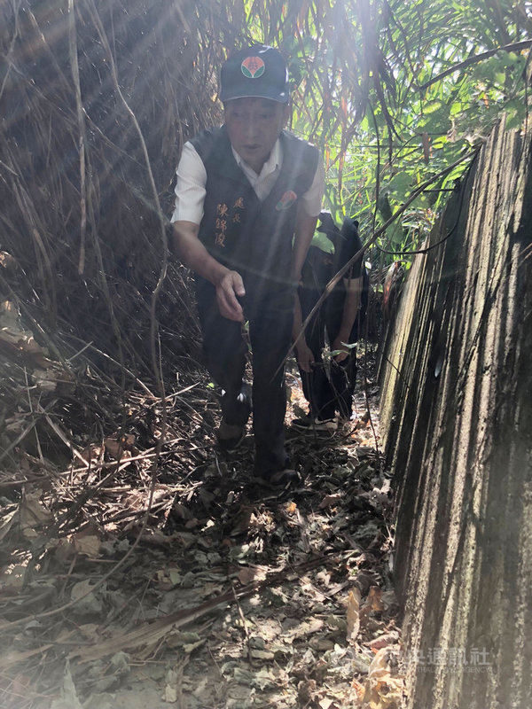 苗栗縣38台監測野生動物的紅外線自動相機遭竊,縣府農業處長陳錦俊23日指出,紅外線自動照相機用於生態調查功效顯著,每台價格新台幣逾萬元,遭竊不僅造成研究團隊金錢損失,更讓石虎保育工作雪上加霜。中央社記者管瑞平攝 108年10月23日