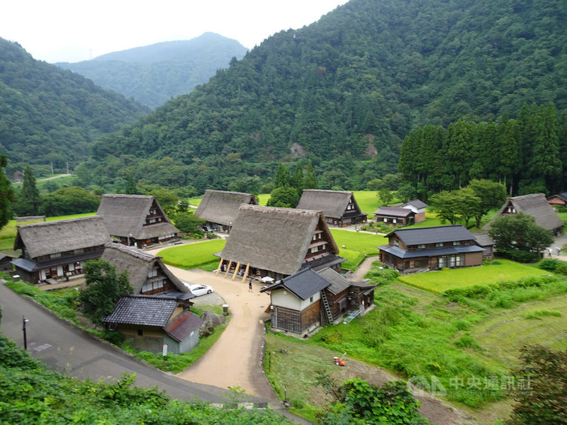 日本富山縣五箇山菅沼合掌聚落登記為世界遺產,人煙稀少的菅沼,彷如被遺忘的夢幻國度。當地居民很高興9月起新開闢從富山機場出發的快速直達巴士,可載更多遊客前來。中央社記者楊明珠富山攝 108年11月15日