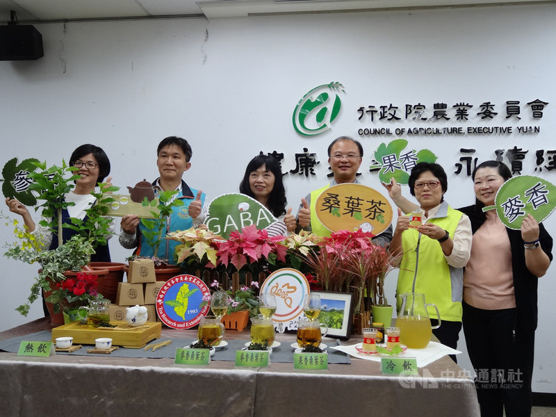 農委會茶業改良場2003年開賣無咖啡因、高GABA的GABA桑葉茶,回購率高,農委會苗栗區農業改良場與茶改場合作,19日推出3款新口味,盼拓展外銷。中央社記者楊淑閔攝 108年11月19日