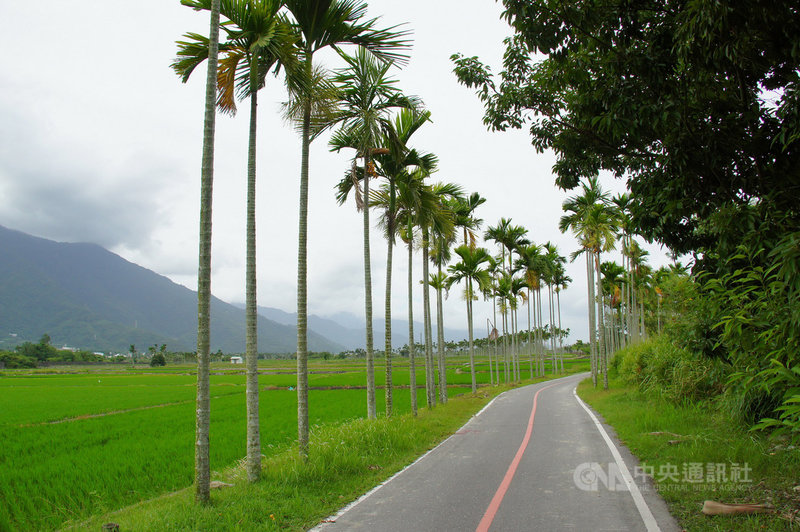 近年來台灣民眾騎自行車風潮漸盛,訂房網站Booking.com統計「台灣人最愛5大自行車目的地」,台東關山環鎮自行車道名列其中。(台東縣政府提供)中央社記者李先鳳傳真 108年11月20日