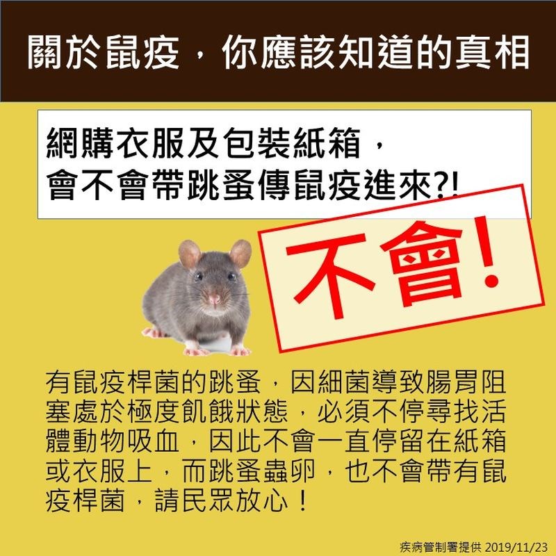 衛生福利部疾病管制署23日發文指出,感染鼠疫的跳蚤不會附著在物體上,蚤類的蟲卵也不會帶有鼠疫桿菌。(疾管署提供)