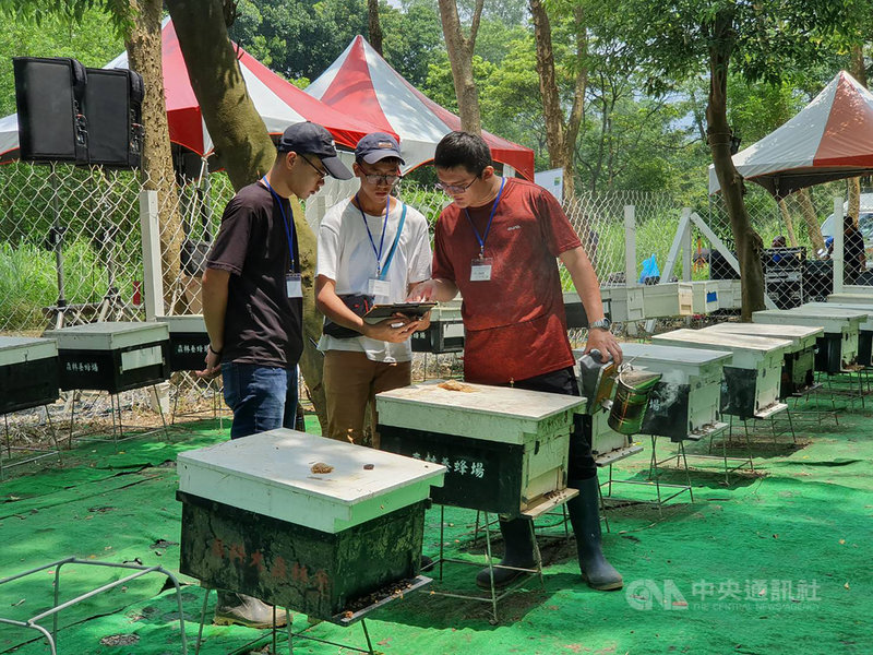 屏東科技大學社區林業研究團隊帶領山村居民一起養蜂、種植蕈菇與金線連,並在學校設立森林養蜂場及段木香菇場的人才培訓基地,在首屆農委會「國家農業科學獎」榮獲最優團隊。中央社記者郭芷瑄攝 108年12月30日