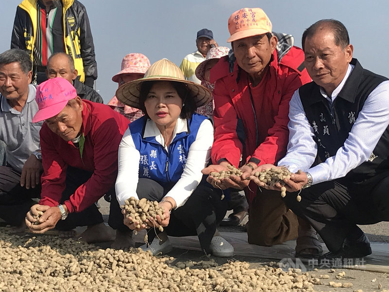 雲林「花生之亂」已至產季尾聲,雲林縣長張麗善(右3)1日到水林鄉了解花生收購情形,呼籲中央延長收購時間,保障農民。中央社記者姜宜菁攝 109年1月1日