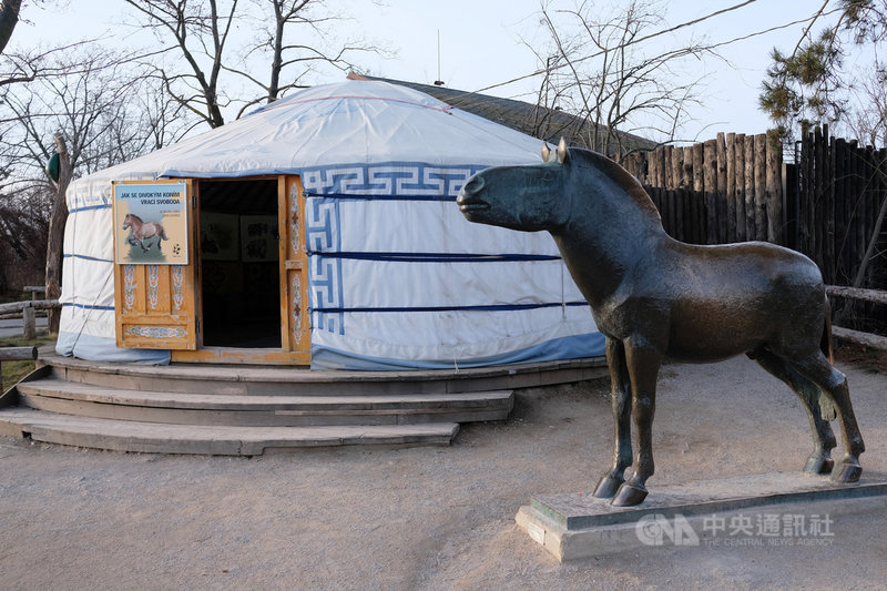 布拉格動物園蒙古野馬復育成果享譽國際,園方特地建了一座蒙古包,內有保育相關的展覽。中央社記者林育立布拉格攝 109年1月22日