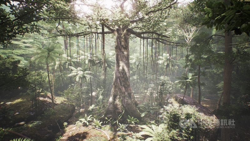 宏達電與中華電信攜手合作,在台中燈會可免費體驗VR作品Tree,只要戴上VIVE Cosmos,就能讓使用者搖身一變為熱帶雨林中的一棵樹。(宏達電提供)中央社記者江明晏傳真 109年2月7日
