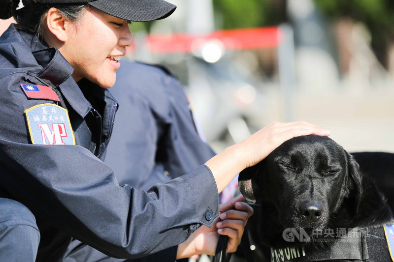 憲兵指揮部編成緝毒犬分組,19日由3隻拉布拉多犬實施偵蒐演練,圖為任務完畢後,緝毒犬討摸與領犬員培養感情。中央社記者游凱翔攝 109年2月19日