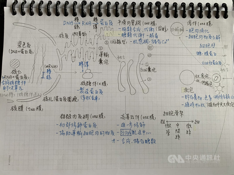 學測成績24日公布,宜蘭高中學生林明葳拿下5科滿級分,他的筆記本除了字跡工整精美,還有精美的自製圖表,連導師都感到驚訝。(林明葳提供)中央社記者沈如峰宜蘭傳真 109年2月24日