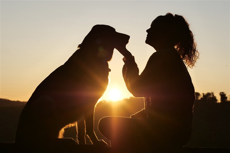 媒體報導香港有確診病患家犬驗出冠狀病毒弱陽性。農委會副主委黃金城28日表示,主人的病毒可能進到狗的口、鼻,但不見得會增殖,過度解讀恐怕造成遺棄潮。(示意圖/圖取自Pixabay圖庫)