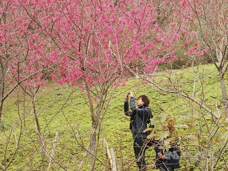 中央氣象局表示,28日起東北季風減弱,各地多為多雲到晴的天氣型態。3月2日東北季風增強,溫度下降。(中央社檔案照片)