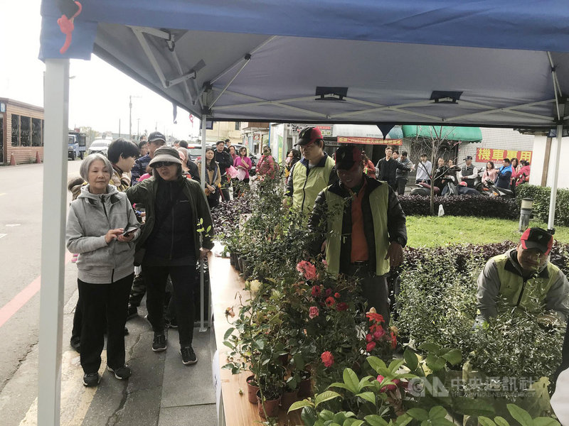 防疫不聚眾花蓮植樹節活動延期 地方 中央社cna