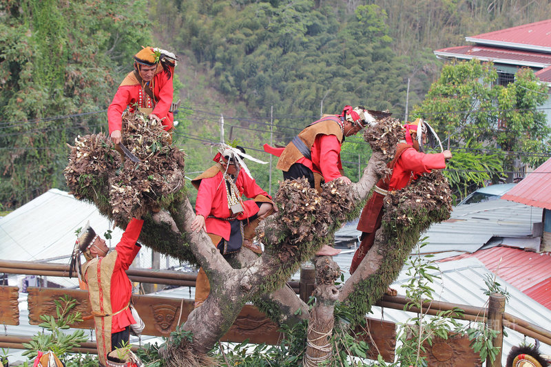 阿里山鄒族特富野社瑪雅斯比祭典莊嚴隆重 地方 中央社cna