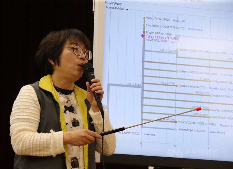 台灣第39案武漢肺炎確診感染源引發各界討論,檢驗專家葉秀慧(圖)8日表示,案39病毒基因體定序與台灣病毒序列差距頗大,而與歐洲及義大利等病毒同枝,可研判案39病毒不是來自台灣,而是在埃及受到歐洲的病毒株感染。中央社記者郭日曉攝 109年3月8日