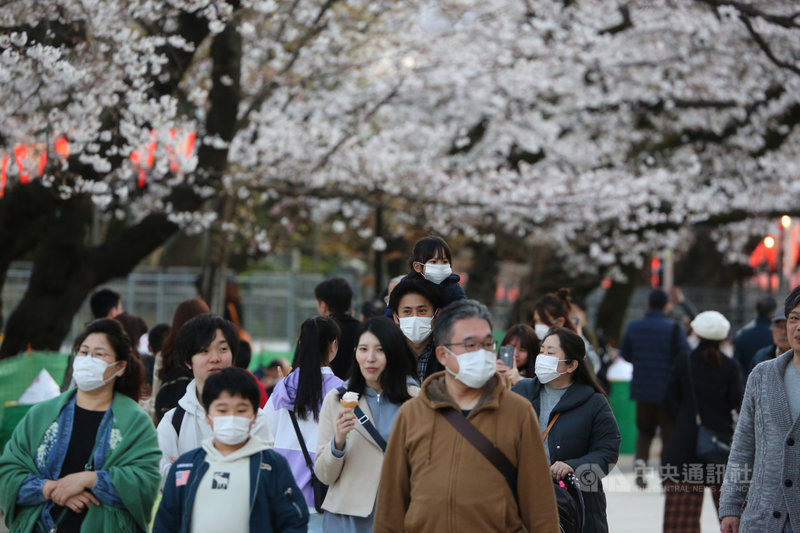 受到武漢肺炎疫情影響,東京都政府宣布在旗下管轄的公園、河川地民眾不得辦櫻花宴,今年賞櫻氣氛不如往年熱絡,可看到許多遊客戴口罩。中央社記者楊明珠東京攝 109年3月22日