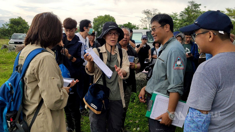 荒野保護協會台東分會28日調查台東知本光電園區預定地的環頸雉數量,總共記錄到163隻,比108年多了69隻。中央社記者盧太城台東攝 109年3月28日