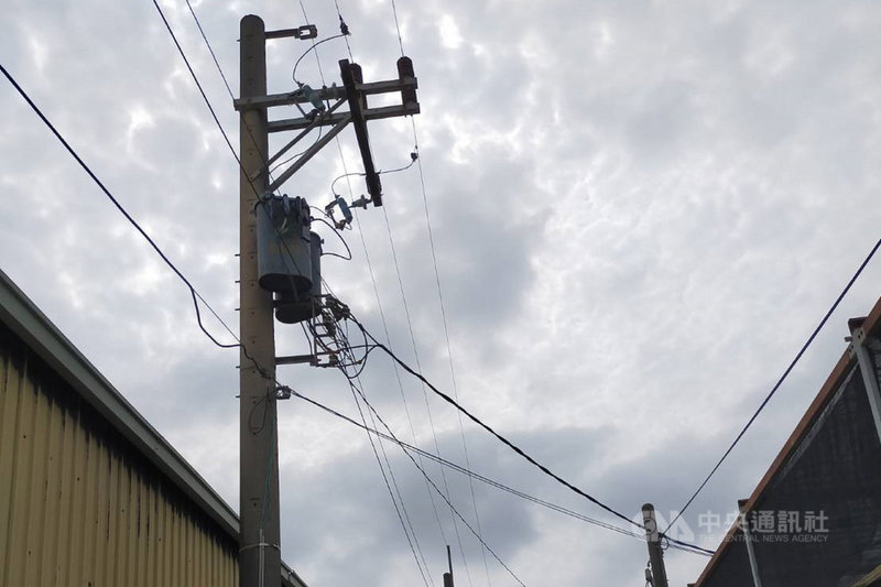 台南市北門區一處電桿的熔絲鏈開關23日清晨疑遭一隻保育類台灣環頸雉撞擊,造成附近停電。保育團體研判可能是視線不明環頸雉才會撞上電桿,令人相當不捨。(台南市生態保育學會提供)中央社記者楊思瑞台南傳真 109年4月23日