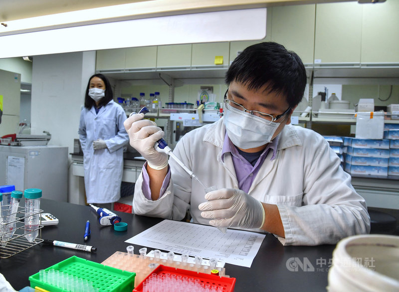 凌越生醫7日在台北舉行記者會,董事長陳作範表示,研發團隊資深研究員在2月中旬後全力投入新型冠狀病毒抗體快篩試劑研發,進而縮短研發流程,也已經在5日送至衛福部緊急授權專案製造核准,已準備好隨時進入量產;圖為凌越生醫實驗室。中央社記者王飛華攝 109年5月7日