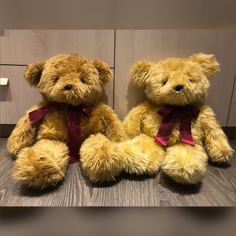 高三生許紫涵今年19歲,印尼移工Duwi在她4歲生日時送她的泰迪熊(左)已經陪伴她15年。(許紫涵提供)中央社記者石秀娟雅加達傳真 109年5月10日