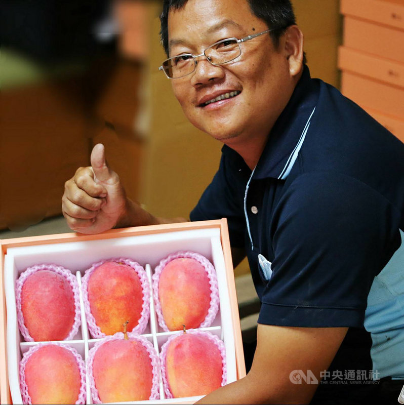 屏東農民潘連進(圖)是第一個取得「蜜雪」芒果授權的台灣農民,他19日表示,目前外銷香港的「蜜雪」1顆約450公克,甜度超過16度,並以精緻禮盒包裝,他們也是透過媒體報導,才知道香港立法會議員葛珮帆買他們家芒果的事。(潘連進提供)中央社記者郭芷瑄傳真 109年5月19日