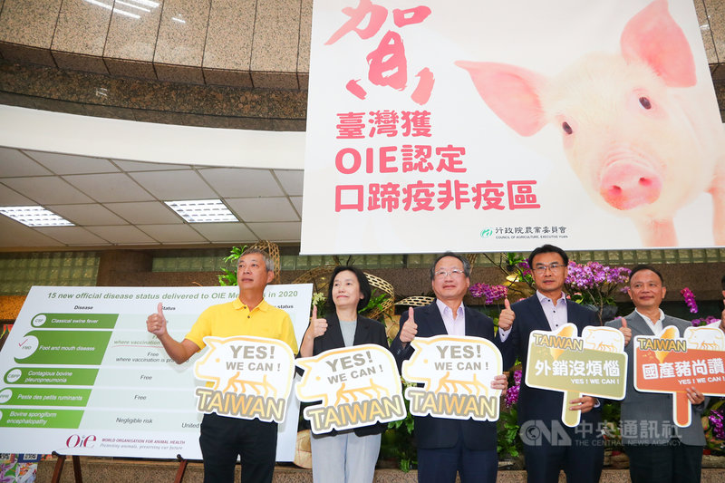 農委會17日上午舉行記者會,主委陳吉仲(右2)、副主委黃金城(中)等嘉賓一同向國人宣布,世界動物衛生組織(OIE)列台灣(台、澎、馬,不含金門)為「不施打疫苗口蹄疫非疫區」。中央社記者王騰毅攝 109年6月17日