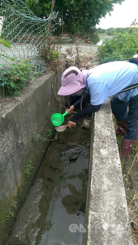 é«˜å¸‚109å¹´é¦–ä¾‹æœ¬åœŸæ—¥æœ¬è…¦ç‚Ž60å¤šæ­²ä½é³³å±±ç