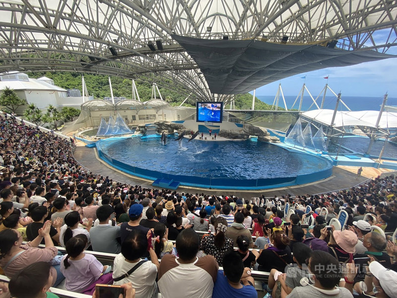 端午連假27日來到第3天,花蓮知名海洋公園累計入園人數達2萬6000人次,園區內著名表演場次幾乎場場都是觀眾爆滿狀態。(業者提供)中央社記者張祈花蓮傳真 109年6月27日