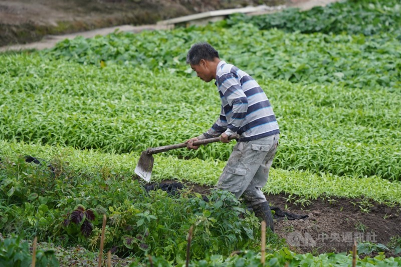 農田水利法立院臨時會2日拚三讀 政治 重點新聞 中央社cna