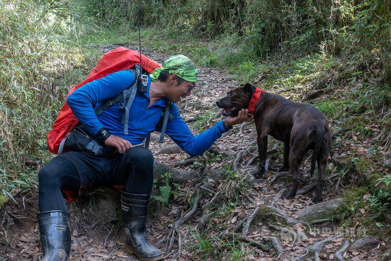 登山協作員張永鴻(左)日前再次上山尋找流浪在南湖圈谷的比特犬「小花花」,並順利引導「小花花」下山。他說,目前「小花花」正安置在朋友家中,等一切妥當後,會幫「小花花」找一個真正的家。(劉姓山友提供)中央社記者張祈傳真 109年7月7日