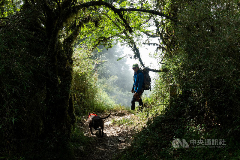 在南湖圈谷流浪的比特犬「小花花」,經劉姓山友及登山協作員張永鴻持續引導,終於在6日順利下山。(劉姓山友提供)中央社記者張祈傳真 109年7月7日