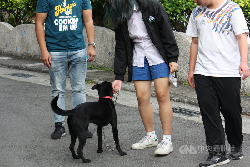 浪浪奇幻漂流北市復興高中認養小黑狗升格 校長 生活 中央社cna