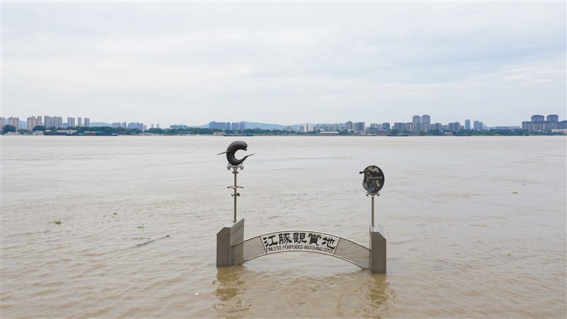中國6月以來持續暴雨,多地水患,而新一波暴雨又將到來。圖為12日長江南京下關段水位高漲。(中新社提供)