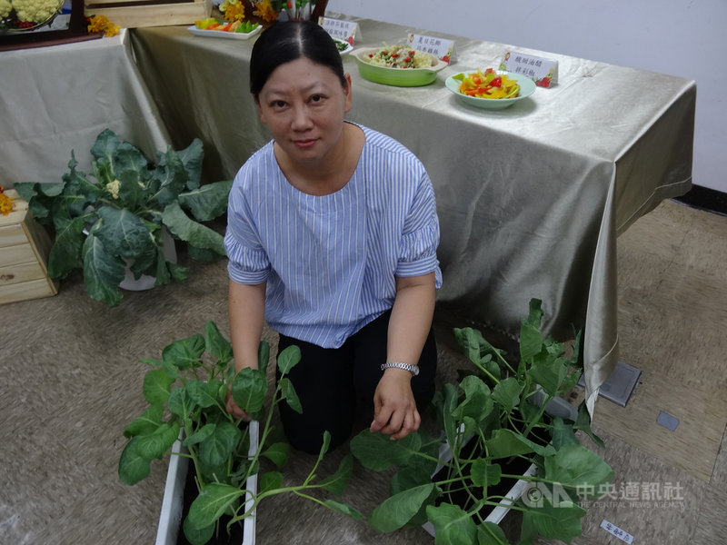 農委會農試所22日發表3種耐熱作物,農試所鳳山熱帶園藝試驗分所聘用人員羅惠齡費時11年育成新品種芥藍「鳳山1號」(右),口感細緻、不帶苦味、纖維少,可望成為夏季蔬菜新寵。中央社記者楊淑閔攝 109年7月22日